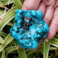 Arizona Turquoise Natural Uncut Blue Rough Gemstone 350.00 Carat Raw Use For Her picture