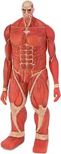 Attack on Titan Colossal Titan Muki-Muki Figure 19cm Furyu Anime picture