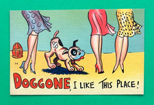 VINTAGE HUMOR / RISQUE COMIC POSTCARD picture
