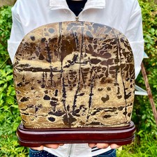 7.3LB Natural Chinese tree shaped limestone image, stone made rural ornaments picture