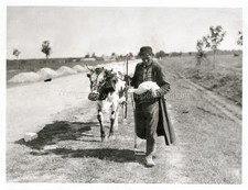 Polish Refugee Farmer Flees German Advance Poland WWI Vtg. Photo WW1 picture
