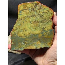 Opalized Multicolored w/ Incusions Specimen (1lb 6oz) picture