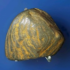 Banded Iron Stramatolite from Wyoming (STAND INCLUDED) 4.6 Ounces picture