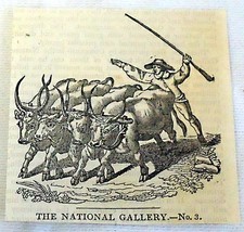 1832 small magazine engraving ~ DRIVING FOUR OXEN  picture