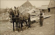 West Winterport ME Mardins Saw Mill Horse Team c1910 Real Photo Postcard picture