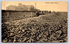 Antique Ohio Postcard OTTAWA Sugar Plant Beets 1914 picture