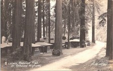 RPPC Redwood Highway CA Lane's Redwood Flat Cabins Roadside Motel 1930s picture