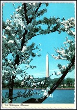 Washington D.C. Monument Cherry Blossoms Spring Dexter Press Vintage K432 picture