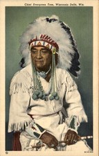 Native American Chief Evergreen Tree Curt Teich c1940s-50s Postcard picture