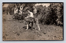 RPPC Handsome Man and Foal Horse on Farm Real Photo Postcard picture