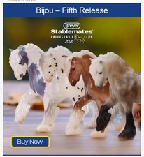 Breyer 2026 Stablemates Club Bijou Gamblers Choice *** PRESALE SHIPS DIRECT *** picture