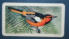 BULLOCK'S ORIOLE   Vintage 1960's Card  CD20    picture