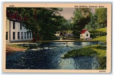 1951 Fish Hatchery Raymond Maine ME Wytopitlock Maine ME Vintage Postcard picture