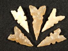 wOw Lot of FIVE Ancient ECCENTRIC Tidikelt Arrowheads 1.08 picture