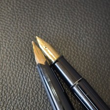 Fountain Pen MONTBLANC 221 585 Mark PILOT Fountain Pen 2 Piece Set K14 Gold picture