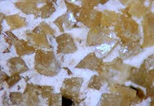 BARITE var. HOKUTOLITE - Tamagawa Hot Springs, Akita Prefecture, JAPAN picture