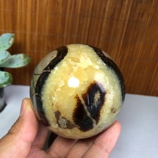 68mm Natural Energy septarian Turtle back Ancient Rock Ball sphere 450g g7699 picture