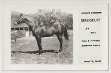 SEABISCUIT Thoroughbred Race Horse Vintage RPPC Postcard WILLITS CA picture