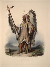Mato-Tope Mandan Chief Vintage 1832 Catlin Portrait Photo Reprint Wall Art picture