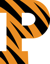 Princeton Tigers NCAA College Team Logo 4