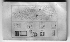 1837 La Rochelle Antique Print North American Indian Inscriptions & Engravings picture