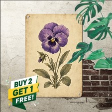 vintage botanical flower illustration purple pansy bloom aged picture