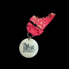 Rare 1902 Fireman's Convention Medal Button Nyack NY picture