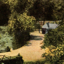 * Antique DB Postcard Rustic Bridge Promenade Cascade Park New Castle PA 1910/11 picture