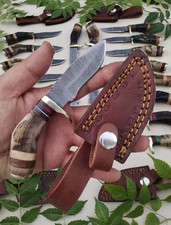 Lot of 20 6 Inch Handmade Damascus Steel Skinner Knives Ram Horn picture