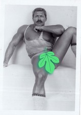Vintage photo - Handsome Colt Studio model Rod Kaszner - Gay interest picture