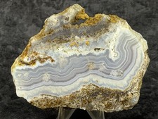 Beautiful Sow Belly Purple Lace Agate Slab, Lot#1010 picture