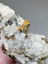 Chalcopyrite on Quartz, San Pedro Mine, Santa Fe County, New Mexico picture