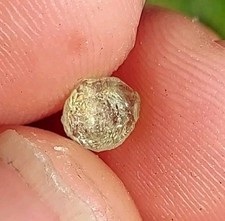 GORGEOUS YELLOW SAPPHIRE MONTANA, USA picture