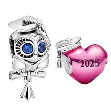 2025 Graduation Mom Friends 925 Sterling Silver Charms Family Dangle fit Brac... picture