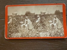 African American Cotton cropper 1870?   O Pierre Havens Photo Savannah Georgia picture
