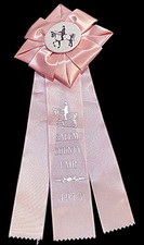 Vintage 1979 horse show ribbon PINK Salem County Fair 8