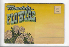 VINTAGE-POSTCARD FOLDER-MOUNTAIN FLOWERS picture