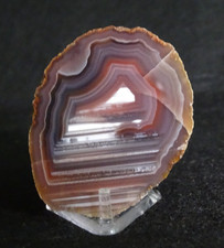 Mozambique Agate Half Nodule Collector Specimen Rock Mozambique picture