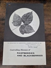 Vintage 1965 USDA Farmers Bulletin 2208 Diseases of Raspberries picture