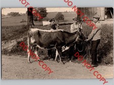 WOW c1910 Men Taking Cow To BUTCHER Knife Cattle Farming Occupational RPPC Photo picture