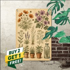 vintage botanical illustration chart multiple herb flower specimens picture