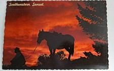 Postcard Western Sunset Cowboy Horse Unposted Continental Size picture