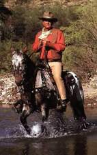 Digital Photograph John Wayne-The Duke-Mounted in 