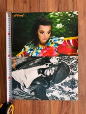Bjork Ne-Yo Ciara Nil Karaibrahimgil Dream Poster 29x40 Rare Double Sided picture