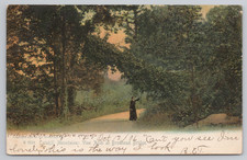 Antique Catskill Mountains Vine Arch Brodhead Bridge Postcard Rotograph 1906 picture