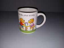 Vintage Berenstain Bears Coffee Mug Cup Cold Milk Hot Soup Ice Cream Soda 1987 picture
