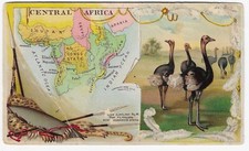 1889 Arbuckle's Bros. Coffee Advertising Trade Card No 63 Central Africa picture