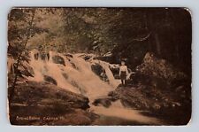 Camden ME-Maine, Springbrook, Antique Vintage Souvenir Postcard picture