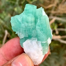 162 CT Terminated Natural Top Quality Emearld Crystals bunch Specimen @ Pakistan picture