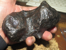 LARGE 1806 GM  CAMPO DEL CIELO METEORITE  AAA GRADE 4 LBS. picture